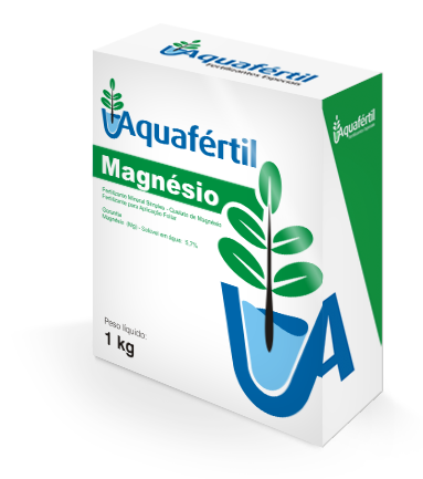 caixa magnesio